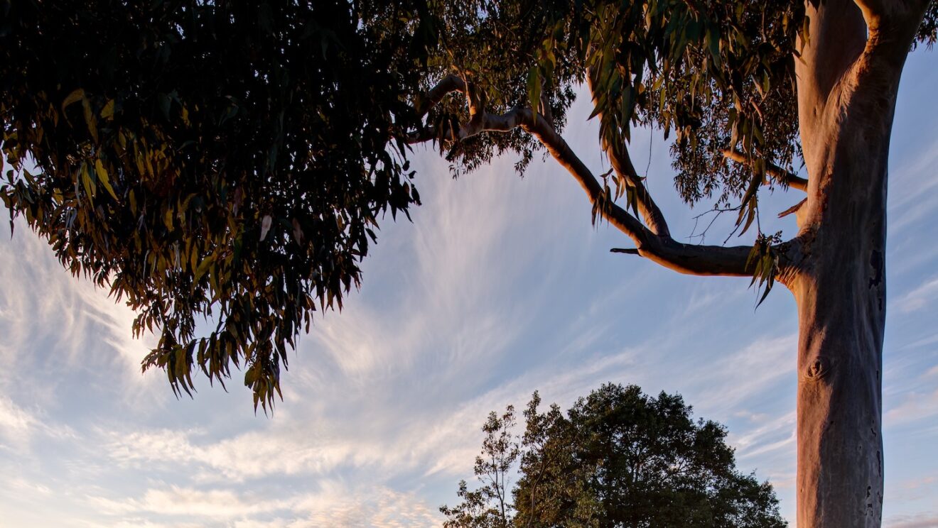 Metropolitan Golf Club New Club House