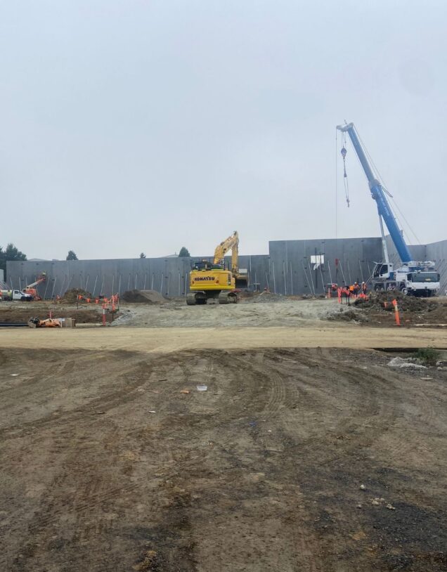 Woolworths Dandenong Junction_19.05.22 crop